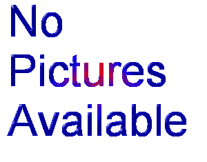 No Picture Available
